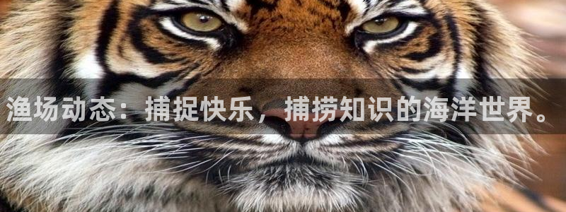 优贝娱乐平台：渔场动态：捕捉快乐，捕捞知识的海洋世界。