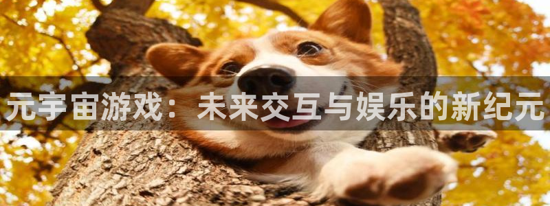 优贝娱乐在线登录：元宇宙游戏：未来交互与娱乐的新纪元