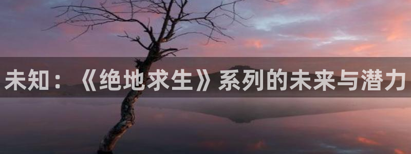优贝娱乐登陆：未知：《绝地求生》系列的未来与潜力
