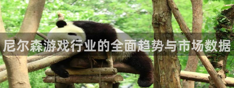 优贝娱乐4主管：尼尔森游戏行业的全面趋势与市场数据