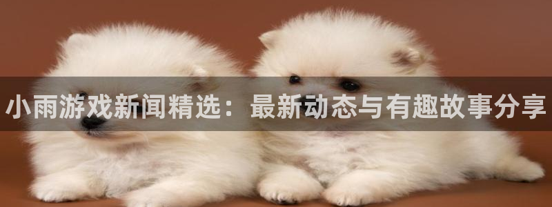 优贝娱乐平台官方网站：小雨游戏新闻精选：最新动态与有趣故事分