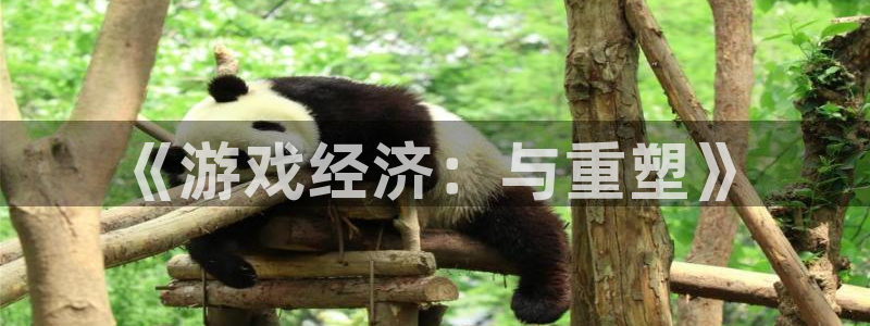 优贝娱乐4开户：《游戏经济：与重塑》