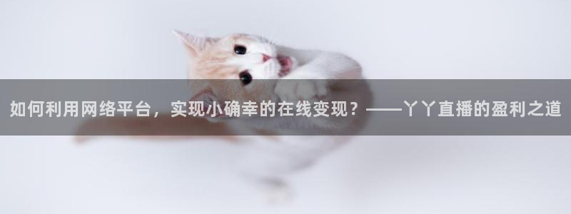 袋鼠直播体育在线观看