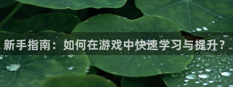优贝娱乐的最新消息是什么：新手指南：如何在游戏中快速学习与提