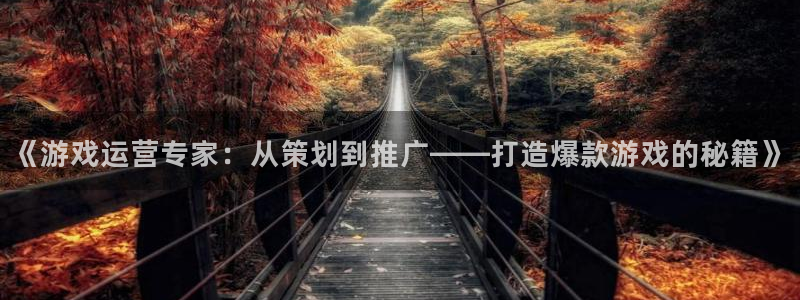 优贝娱乐测速登陆：《游戏运营专家：从策划到推广——打造爆款游