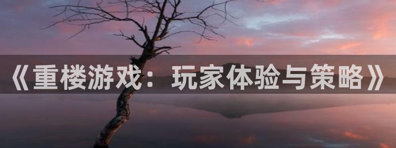 优贝娱乐注册登录：《重楼游戏：玩家体验与策略》