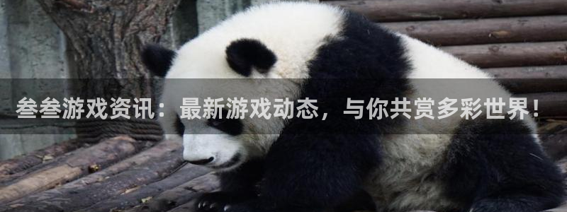优贝娱乐注册登录：叁叁游戏资讯：最新游戏动态，与你共赏多彩世