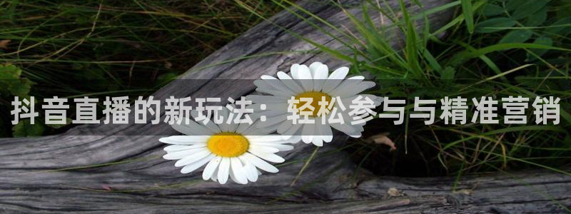 袋鼠体育直播在线观看：抖音直播的新玩法：轻松参与与精准营销