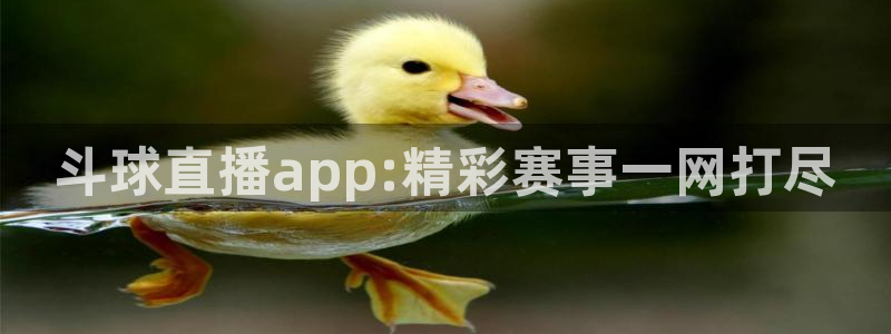 袋鼠直播体育.新网页.org：斗球直播app:精彩赛事一网打尽