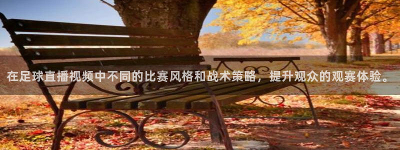 袋鼠体育在线直播免费：在足球直播视频中不同的比赛风格和战术策略，提升观众的观赛体验。